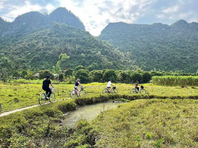 From Hanoi/Cat Ba: Lan Ha Bay Day Trip With Cruise and Lunch - Important Information for Travelers
