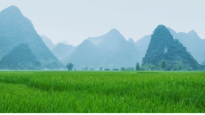From Hanoi: Easy Rider 2 Day Motorbike Tour of Cao Bang Loop - Included in the Tour
