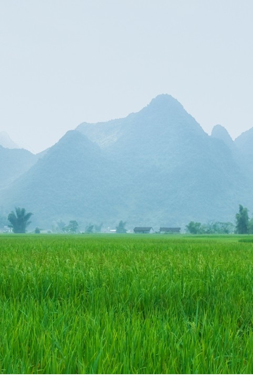 From Hanoi: Easy Rider 2 Day Motorbike Tour of Cao Bang Loop - Accommodation and Meals