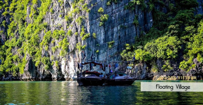 From Hanoi: Explore Cat Ba Islands In 1 Day - Pricing Details