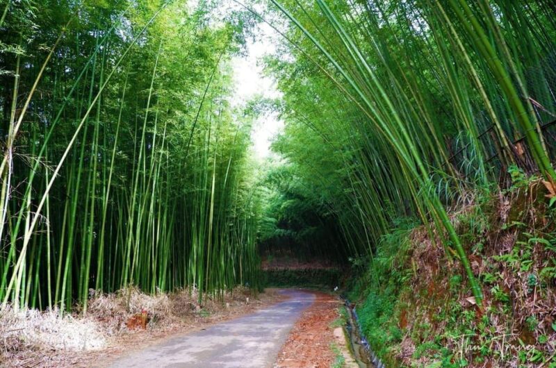 From Hanoi: Explore Sapa - A City Of Fog For 3 Days - Experience Highlights