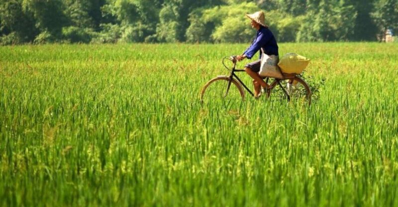 From Hanoi: Full-Day Mai Chau Group or Private Tour - Key Points