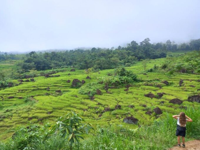From Hanoi: Full-Day Mai Chau Group or Private Tour - Customer Feedback