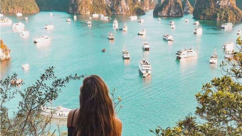 From Hanoi: Ha Long Bay 1-Day Cruise Trip W Titop& Kayaking - Activities: Kayaking and Swimming