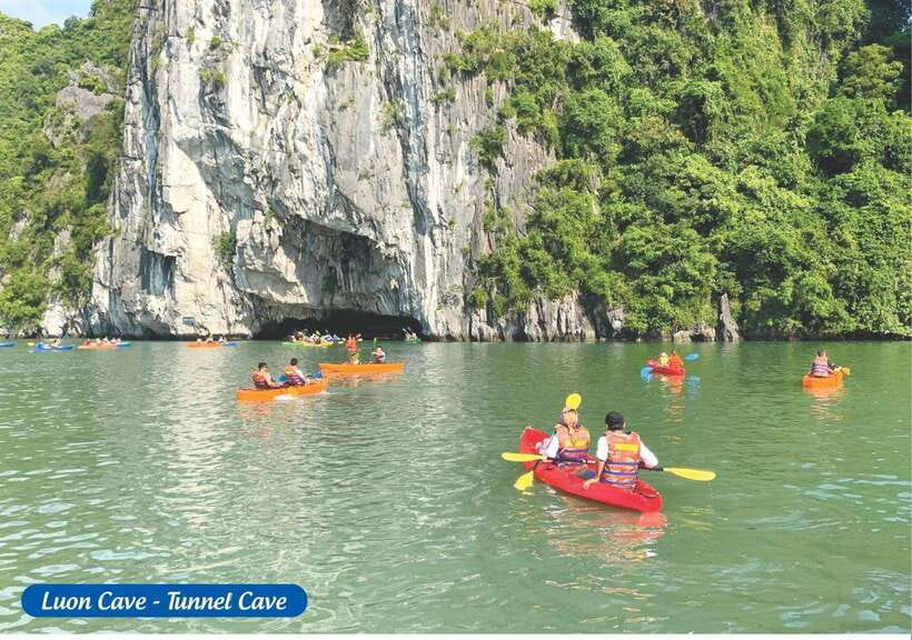 From Hanoi: Halong Bay Day Trip With Sung Sot Cave,.... - What to Expect on Your Trip