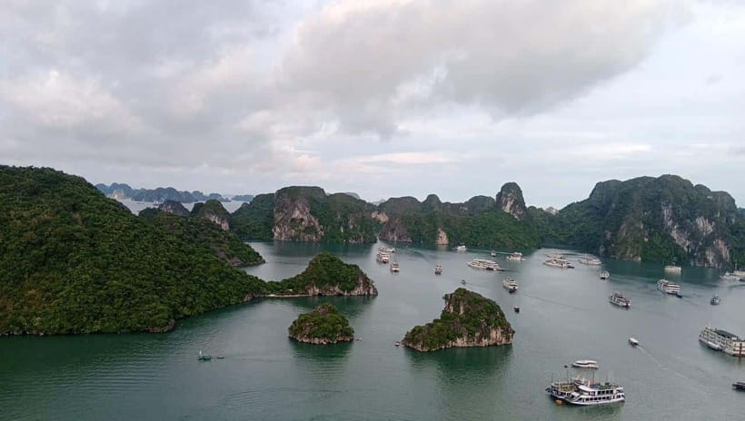 From Hanoi: Halong Bay Day Trip With Sung Sot Cave,.... - Tips for a Comfortable Journey