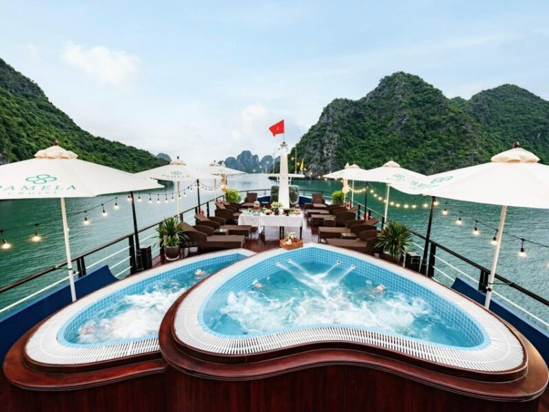 From Hanoi: Halong Bay Luxury Day Tour Kayaking, Swimming - Key Points