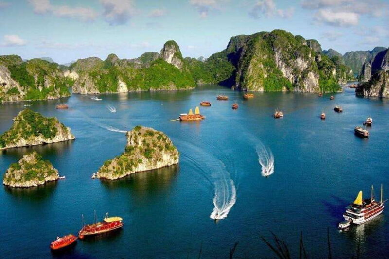 From Hanoi: Halong Bay Luxury Tour on 5 Star Cruise - Customer Feedback and Reviews