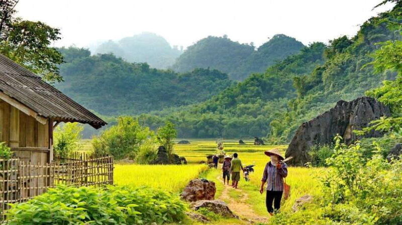 From Hanoi: Mai Chau Excursion 1 Day With Cycling and Lunch - Key Points