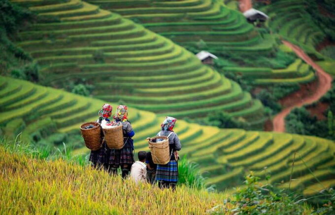 From Hanoi: Mai Chau Excursion 1 Day With Cycling and Lunch - Interaction With Local Villagers