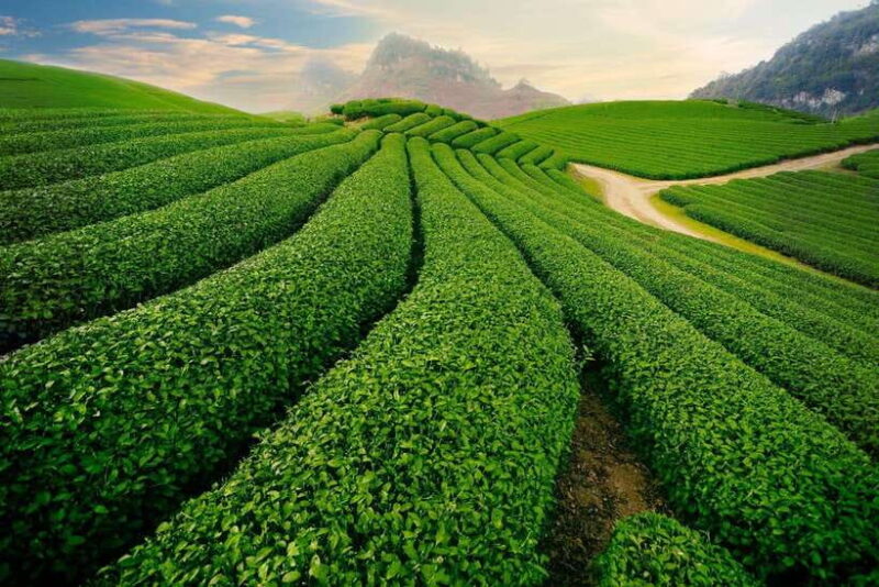 From Hanoi: Mai Chau Excursion 1 Day With Cycling and Lunch - Biking Through the Countryside