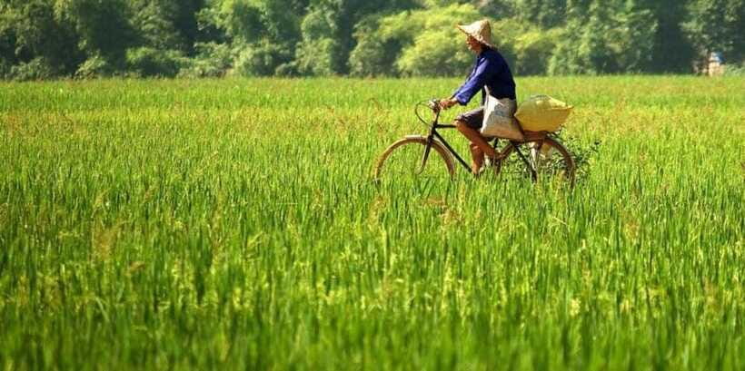 From Hanoi: Mai Chau Valley Day Trip With Lunch - Exploring Mai Chau Valley by Bicycle