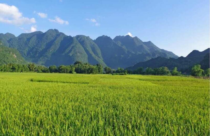 From Hanoi: Mai Chau Valley Day Trip With Lunch and Bike … - Recommendations for Travelers