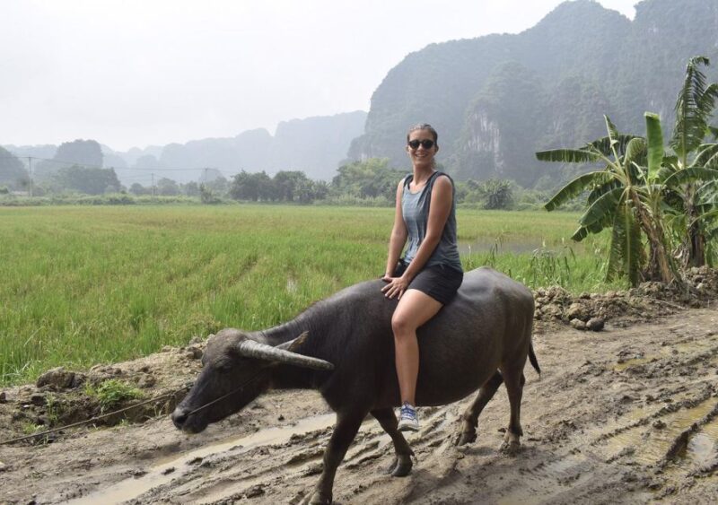 From Hanoi: Ninh Binh 3-Day Unique Trip With Buffalo Cave - Day 2 Experiences