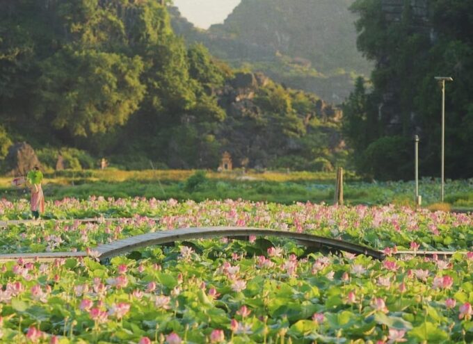 From Hanoi: Ninh Binh – Bai Dinh & Trang An & Mua Cave Tour - Customer Experiences