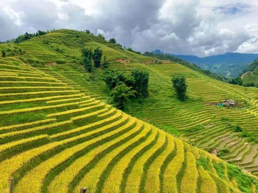 From Hanoi or Sapa: Sapa Trekking 2- Days With Local Guide - Tour Overview and Pricing