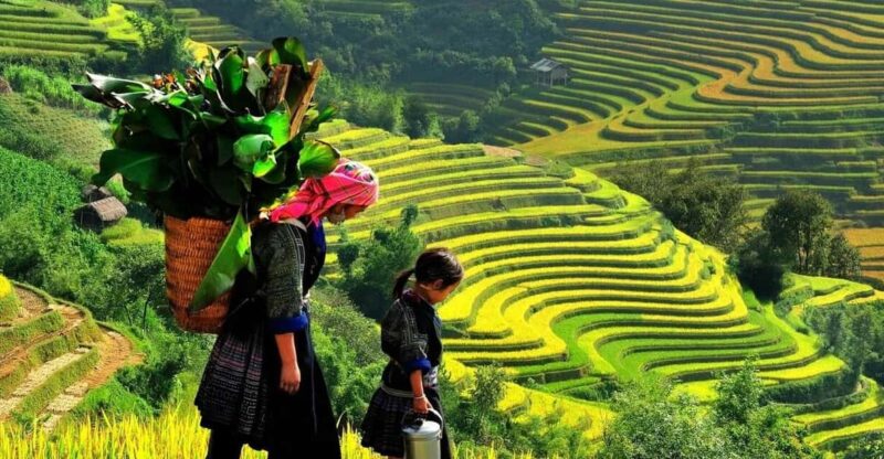 From Hanoi: Sapa 2 Days With Lao Chai, Ta Van,Giang Ta Chai - Key Points