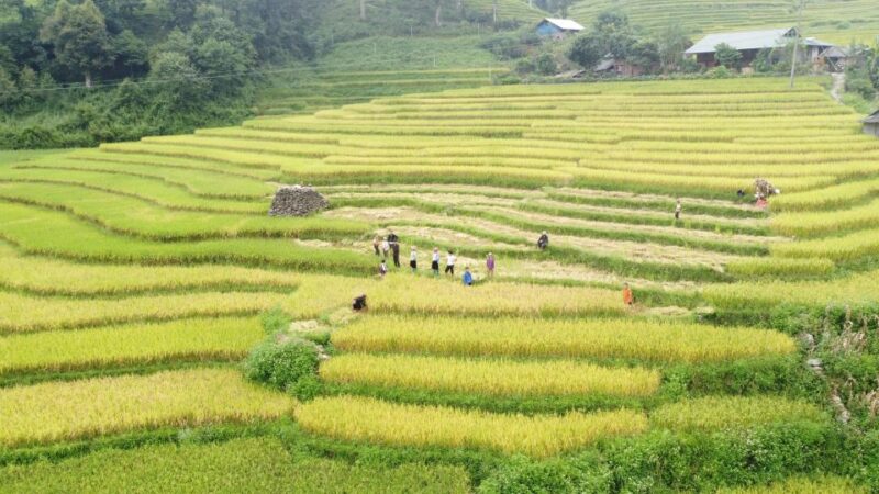 From Hanoi : Sapa 3 Days 2 Nights 1 Hotel 1 Homestay Village - Day 3 Activities