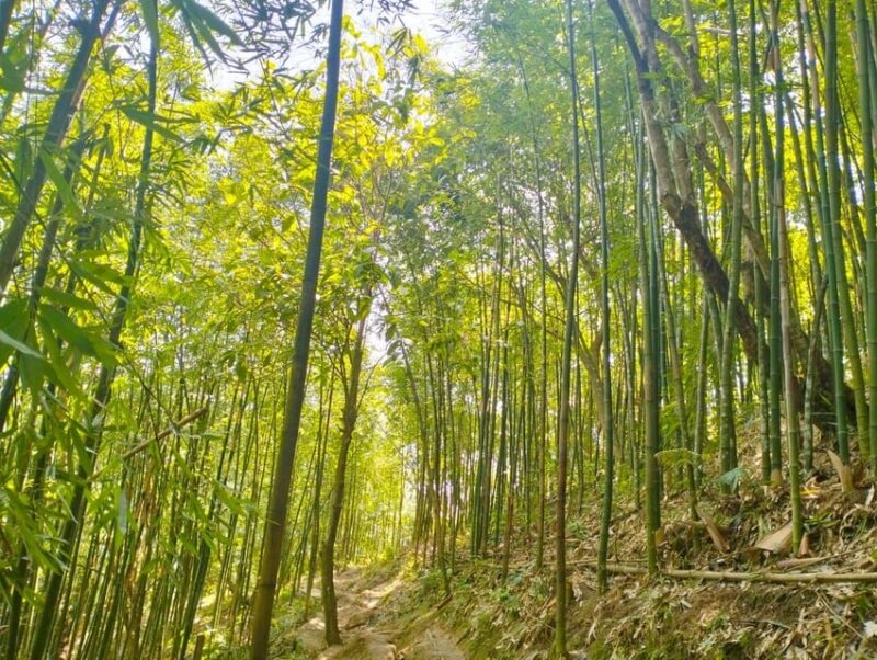 From Hanoi: Sapa 3 Days 2 Nights With Trekking Village/Guide - Meals Included