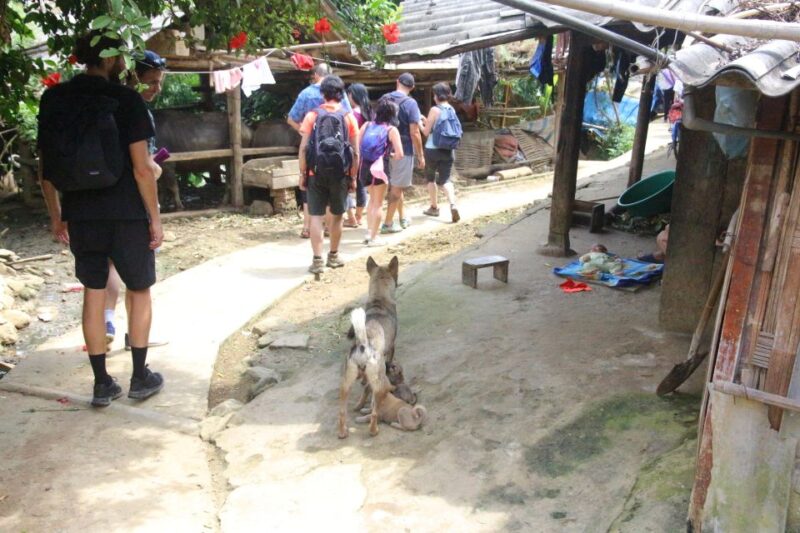 From Hanoi: Sapa 3 Days 2 Nights With Trekking Village - Key Points