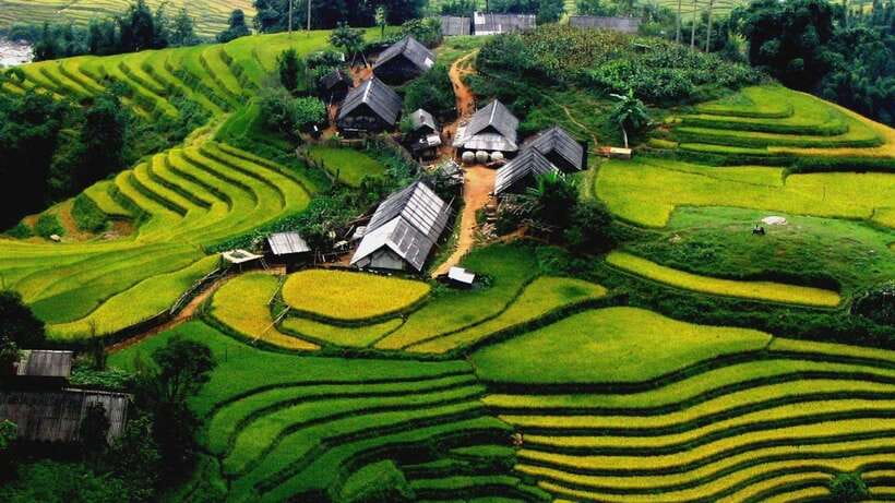 From Hanoi: Sapa Trekking - Y Linh Ho, Lao Chai, and Ta Van - Overview and Pricing