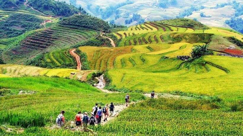 From Hanoi: Sapa Trekking - Y Linh Ho, Lao Chai, and Ta Van - Frequently Asked Questions