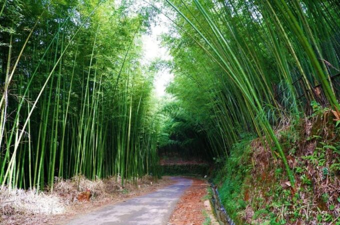 From Hanoi: See Terrace Fields In Sapa 2 Days 1 Night - Contact and Support