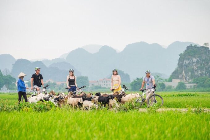From Hanoi: Tam Coc or Trang An, Hoa Lu & Mua Cave Tour - Ascending the Iconic Mua Cave Viewpoint