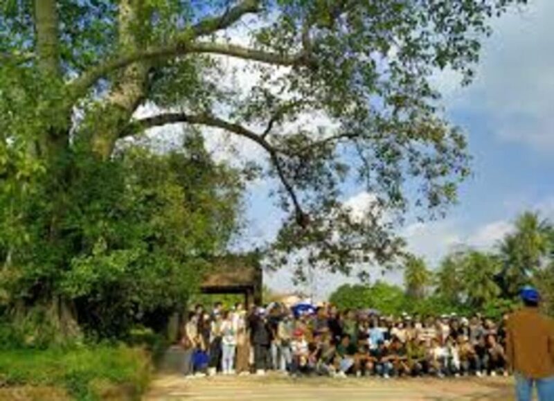 From Hanoi:Private Duong Lam Ancient Village Best Guide - Transportation and Logistics