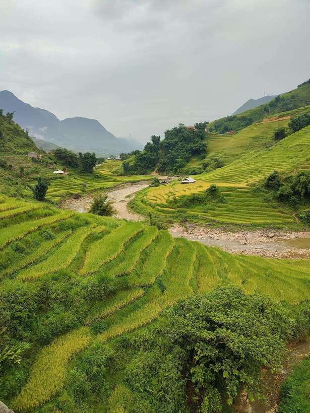 From Hanoi:Sapa 2D1N Trekking Cat Cat/Lao Chai,Fansipan Peak - Included Services