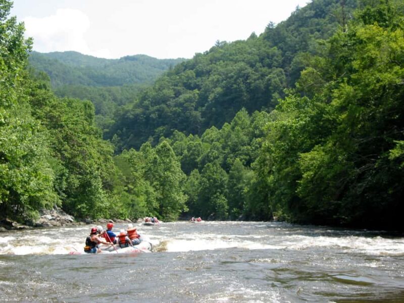 From Hartford: Upper Pigeon River White Water Rafting Tour - Who Will Love This Trip?