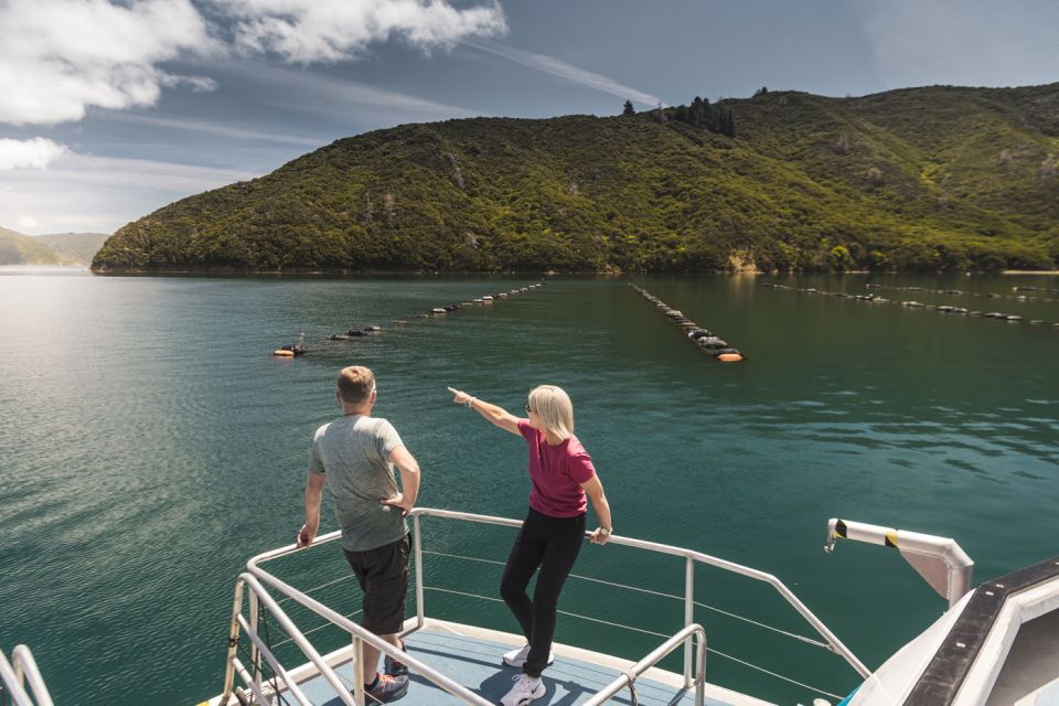 From Havelock: Marlborough Sounds Mail Boat Full-Day Cruise - Pricing Information