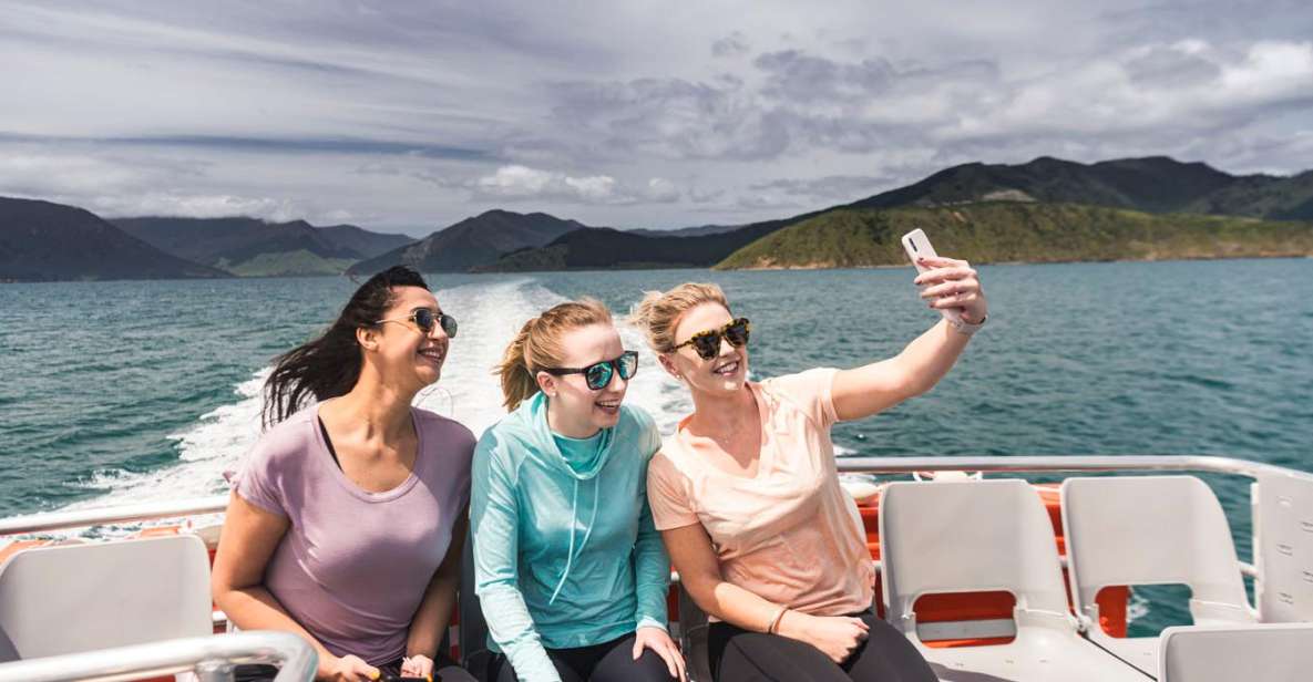 From Havelock: Marlborough Sounds Mail Boat Full-Day Cruise - Frequently Asked Questions