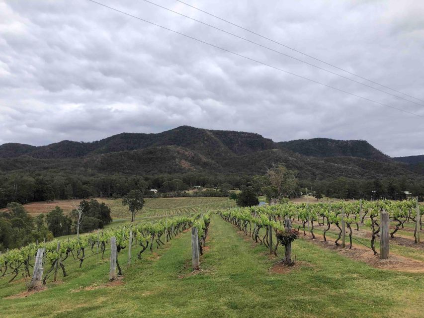 From Haymarket: Hunter Valley Wine and Wildlife Day Trip - Additional Information