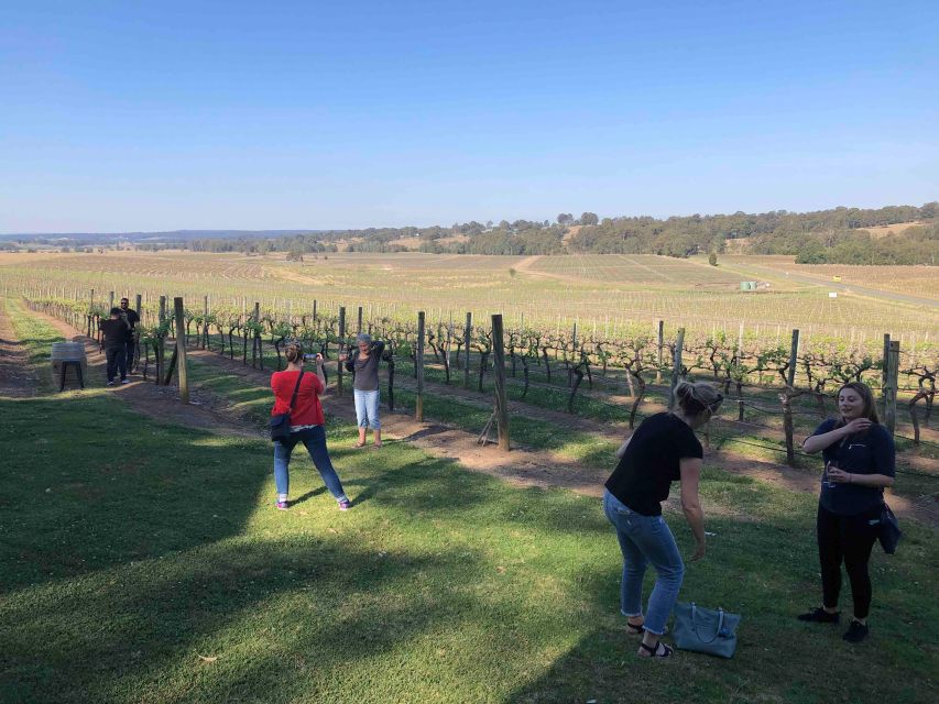 From Haymarket: Hunter Valley Wine and Wildlife Day Trip - Recap