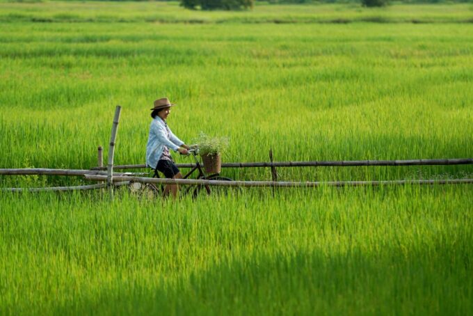 From HCM: Mekong Delta & Cai Rang Floating Market 2-Day Tour - Booking Information