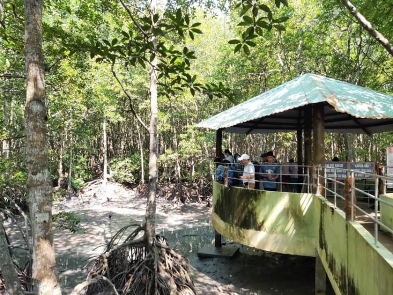 From HCM: Tour Can Gio Island Full Day Private Available - Detailed Itinerary