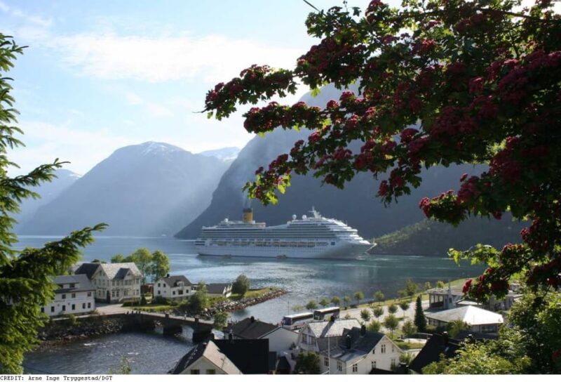 From Hellesylt: The Best of Geiranger Shore Excursion - Good To Know