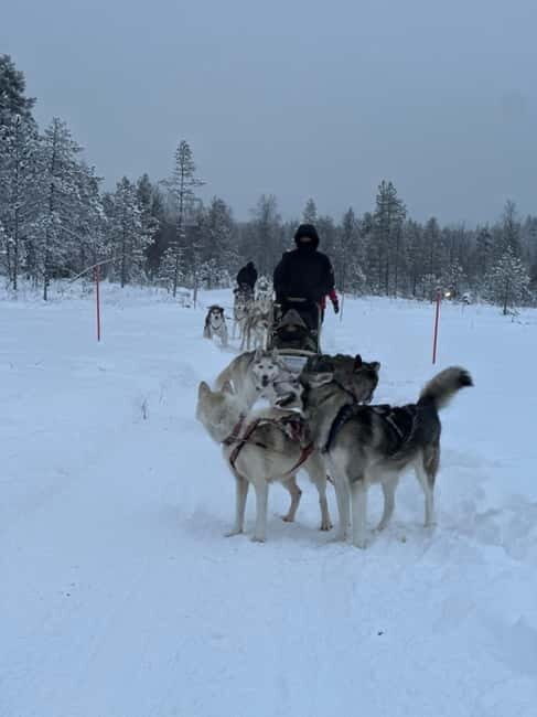 From Helsinki: 7-Day Lapland Northern Lights Tour - An Overview of the Experience