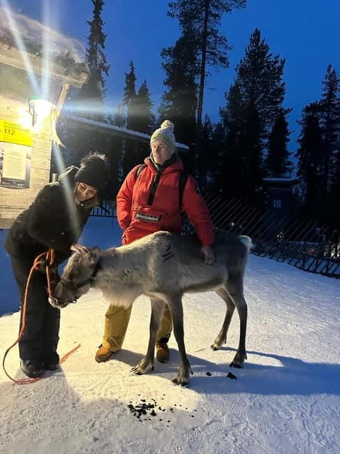From Helsinki: 7-Day Lapland Northern Lights Tour - Day 3: Santa Claus Village & Arctic Circle Crossing
