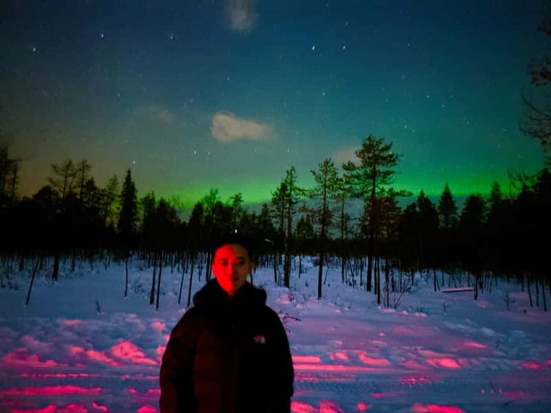 From Helsinki: 7-Day Lapland Northern Lights Tour - Day 4: Husky Safari and Optional Shopping