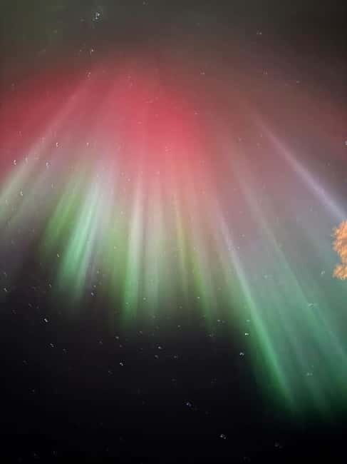 From Helsinki: 7-Day Lapland Northern Lights Tour - What We Think: The Value and Experience