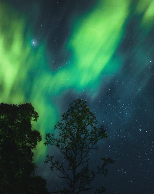 From Helsinki: 7-Day Lapland Northern Lights Tour - Introduction