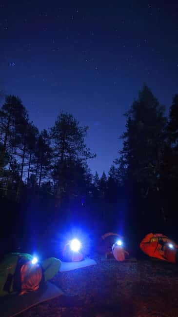 From Helsinki: Guided Forest Walk in the dark with campfire - Insights from Reviews