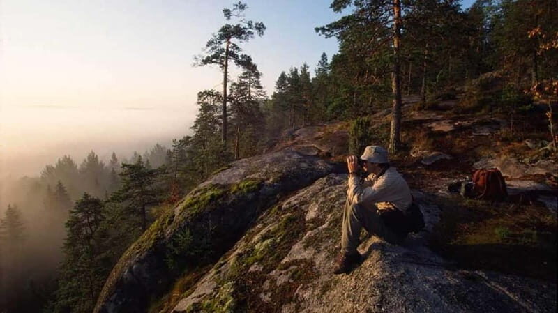 From Helsinki: Private Sauna + 3-Course Finnish Dinner - Key Points