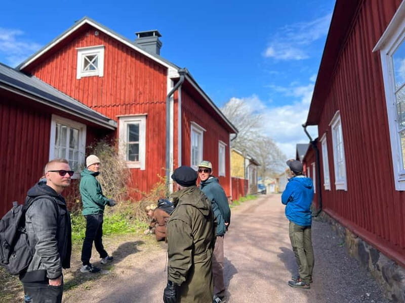 From Helsinki: Raasepori Castle Ruins & Ekenäs Old Town - The Experience Breakdown