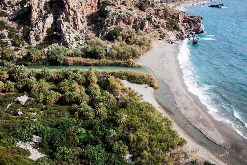 From Herakleion: Day Trip to Preveli Palm River Beach - What to Expect: The Experience on the Ground