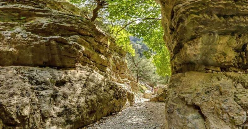 From Heraklion: Imbros Gorge and Libyan Sea Guided Day Trip - Authenticity and Experience