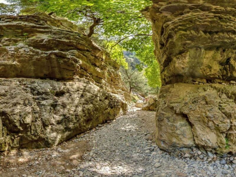 From Heraklion: Imbros Gorge and Libyan Sea Guided Day Trip - The Sum Up