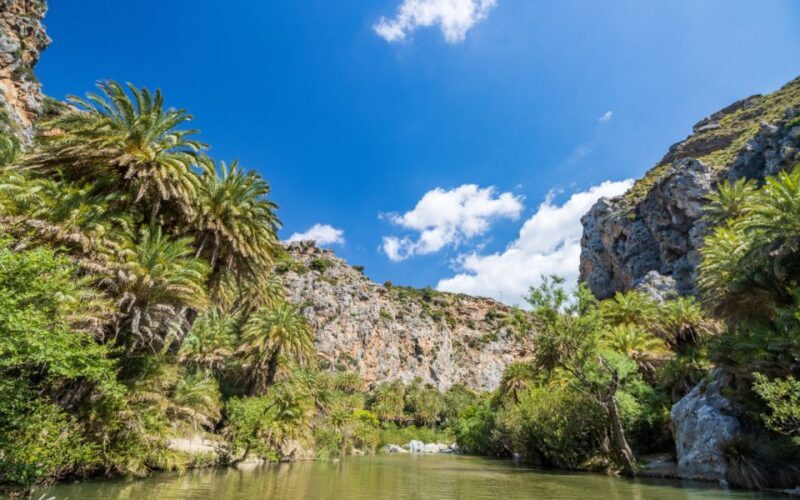 From Heraklion: Preveli Natural Palm Forest & Exotic Beach - Key Points  